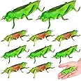Toyvian 10pcs Plastic Grasshoppers Insect Figures Toys Fake Bugs Green for Insect Themed Party Children