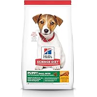 amazon dry dog food best sellers