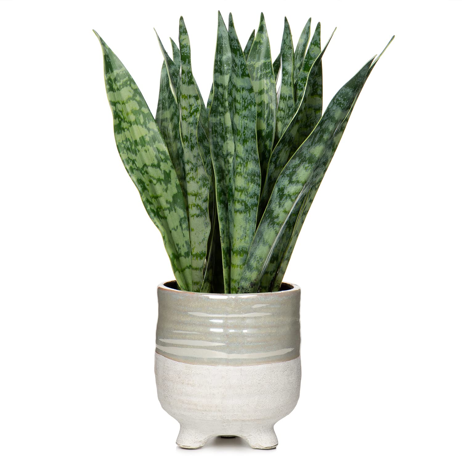 Oairse 31cm Artificial Snake Plant in Ceramic Pots Fake Plants Potted Decorative Faux Sansevieria Plant for Indoor Home Bathroom Bedroom Office Shelf Decoration