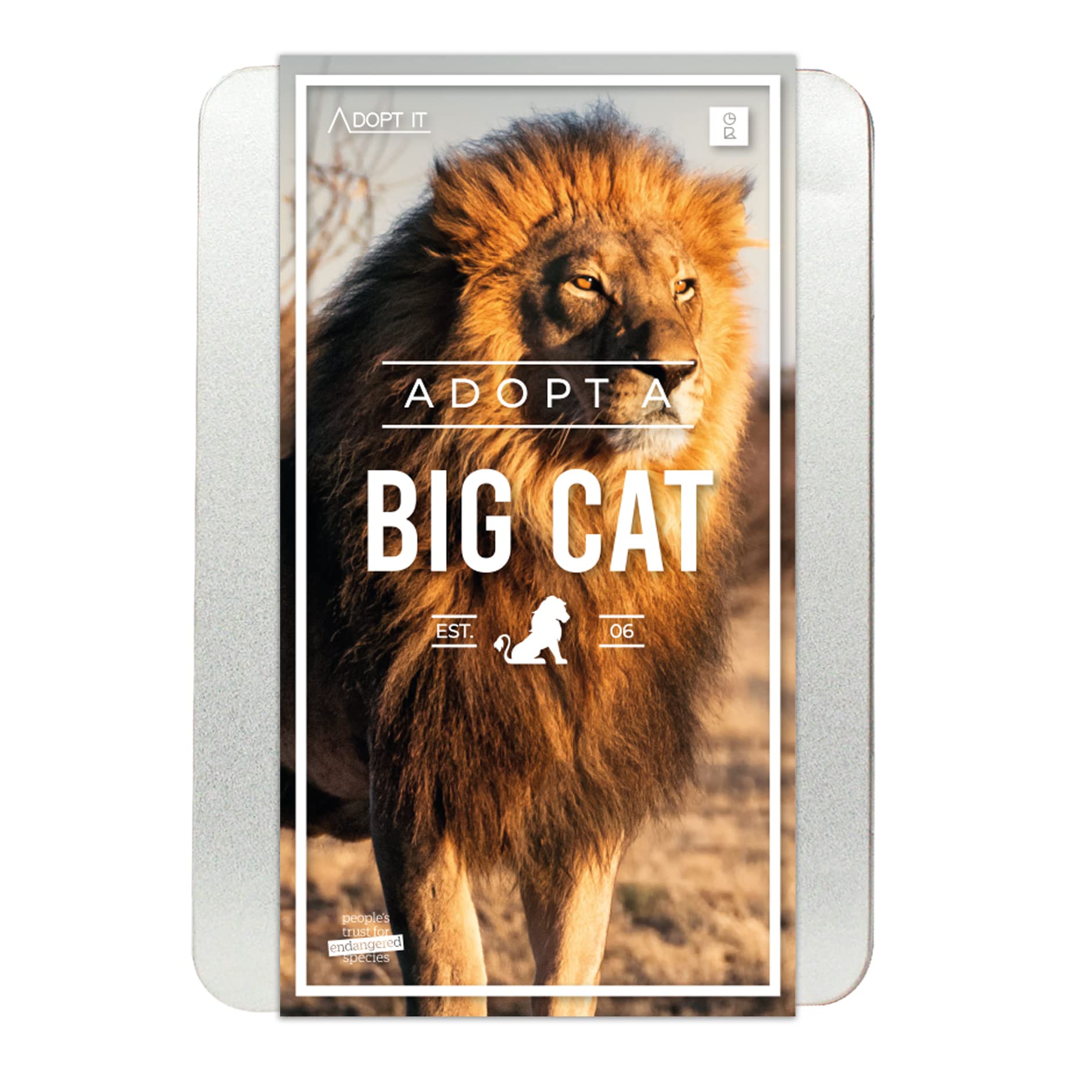 Gift Republic GR100024 , Adopt A Big Cat Gift Box