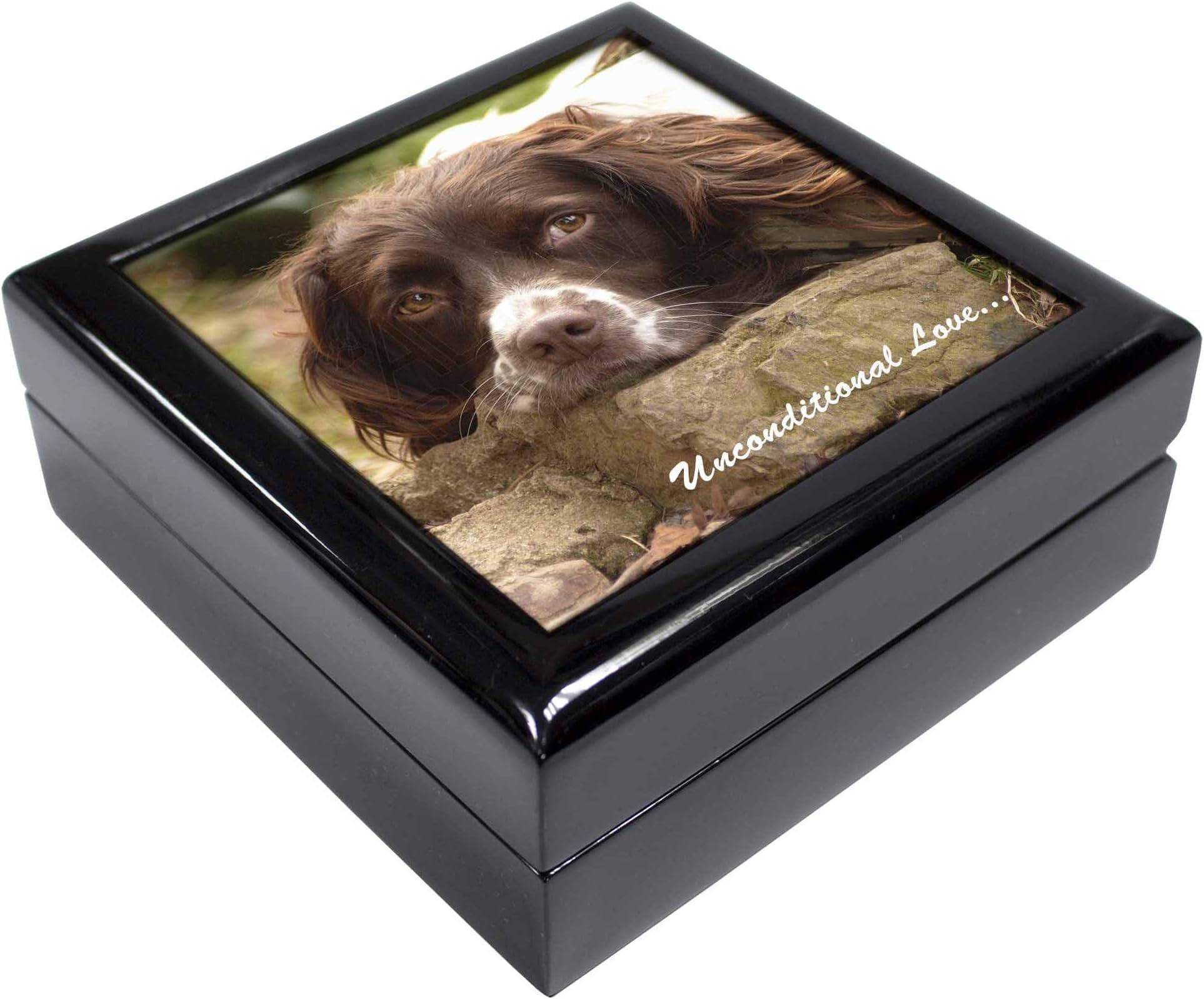 Advanta Group Springer Spaniel 'Unconditional Love' Keepsake/Jewellery Box