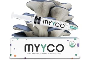 MYYCO Organic Blue Oyster Liquid Culture - Isolated Genetics for Fast Growth & Larger Mushrooms - Faster Growing Than Shiitake Spores - USDA Certified Organic Blue Oyster