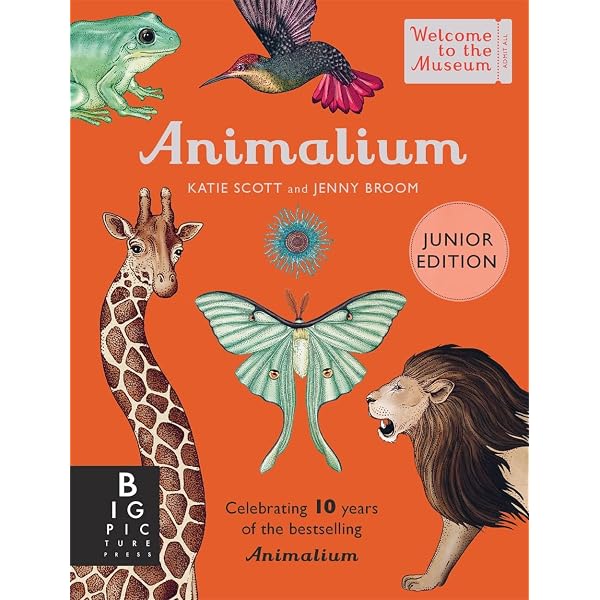 Botanicum (Mini Gift Edition) (Welcome To The Museum): Katie Scott