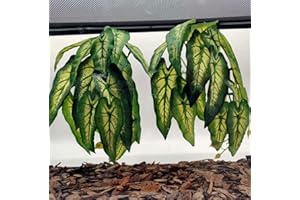FLMOVING Reptile Plants for Terrarium, Amphibian Habitat Decor Artificial Hanging Plants with Suction Cup, Artificial Plants for Gecko Chameleon Snake Tortoise Tank Accessories. 2-Pack (Alocasia odora-B)
