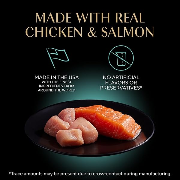 SHEBA PERFECT PORTIONS KITTEN WET CAT FOOD PATE CHICKEN ENTREE AND SALMON ENTREE, 2.6 OZ. TWIN-PACK TRAYS (12 COUNT, 24 SERVINGS)