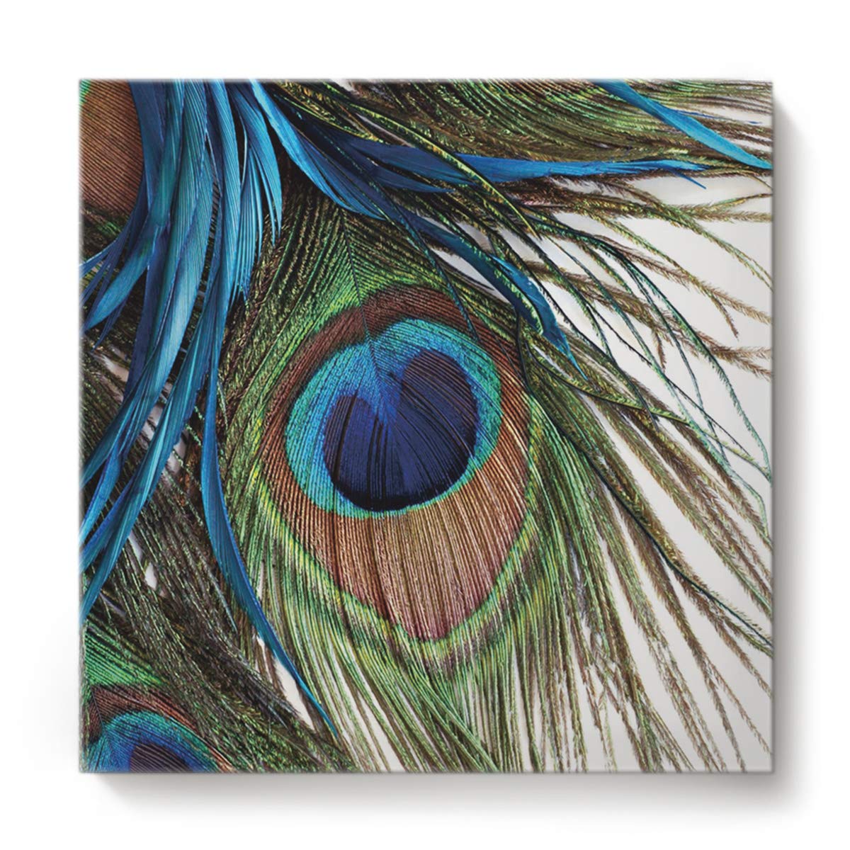 The 10 Best Wooden Peacock Home Decor