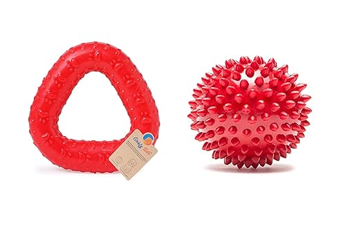 Goofy Tails Rubber Chew Dog Toy Combo (Spike Ball + Trio Ring)