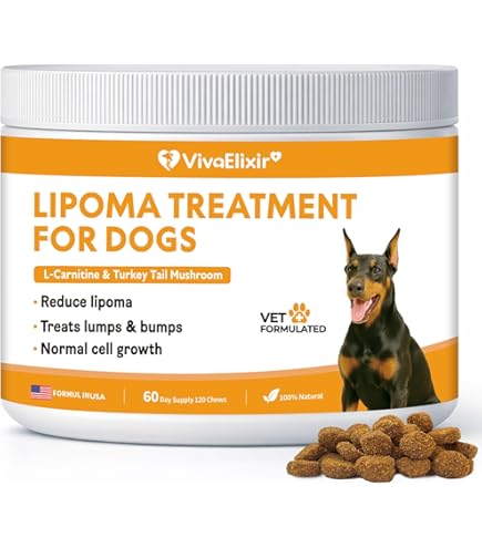 is l-carnitine safe for dogs Amazon.com : Lipoma Treatment for Dogs, L-Carnitine Reduces Fatty Lumps and  Bumps, Natural Pet Supplement Boost Energy & Vitality, Immune and Blood  Support, Promotes Overall Wellness, 60g : Pet Supplies