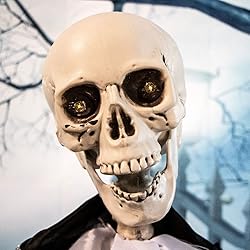 Haunted Hill Farm Life-Size Scary Talking Skeleton