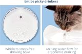 Catit PIXI Drinking Fountain for Cats White with Triple Action Carbon Filter view 6
