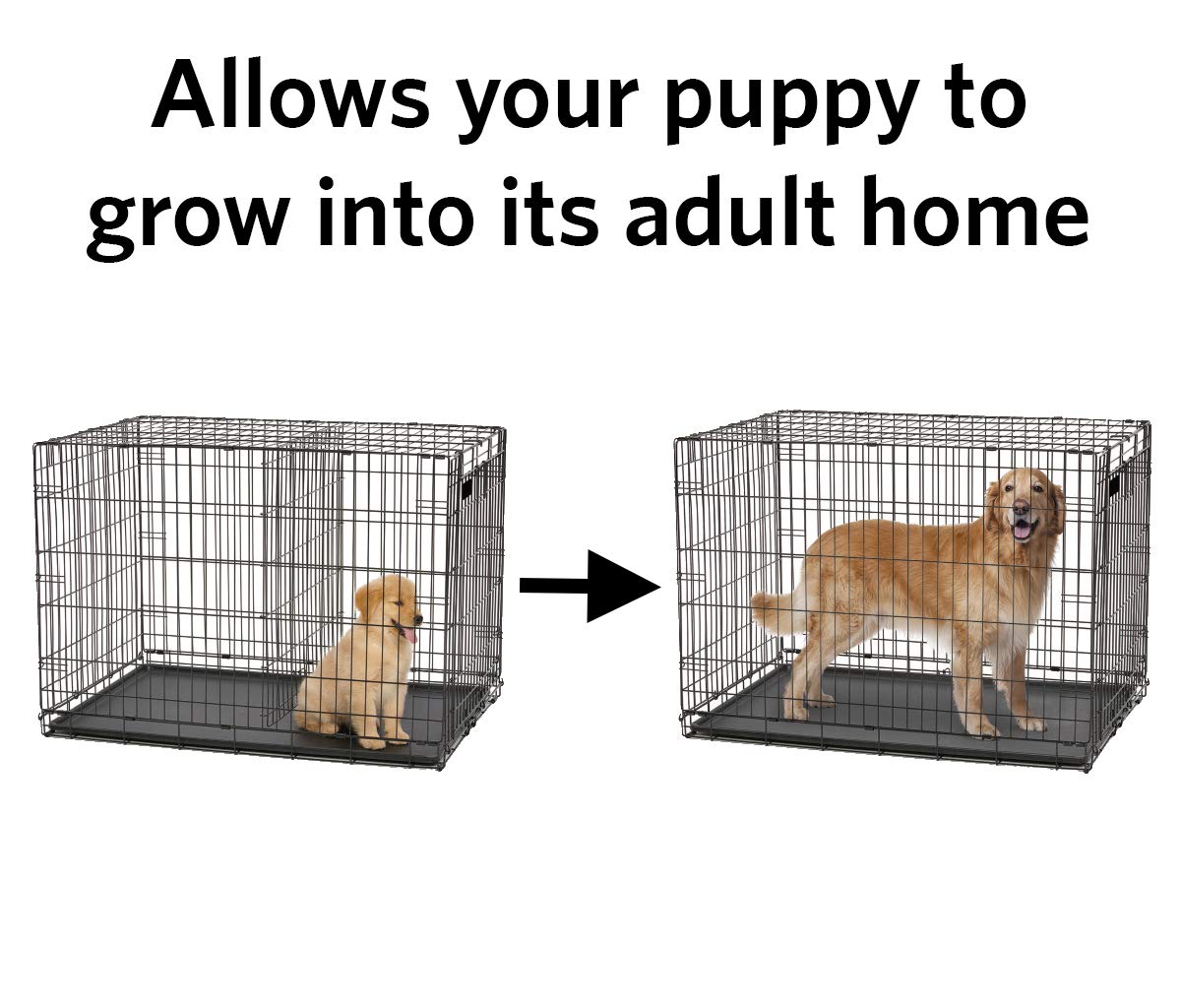 https://images-na.ssl-images-amazon.com/images/I/71stZm6eWGL.jpg