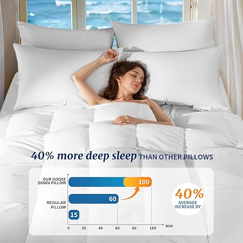 AiAngu Canadian Luxury Goose Down Pillow 750 Fill Power, 600