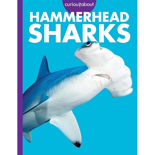 Hammerhead Sharks (Shark Frenzy): Rebecca Pettiford: 9781644872468