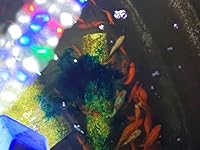 Review Image by Tina Wilson Tina Wilson