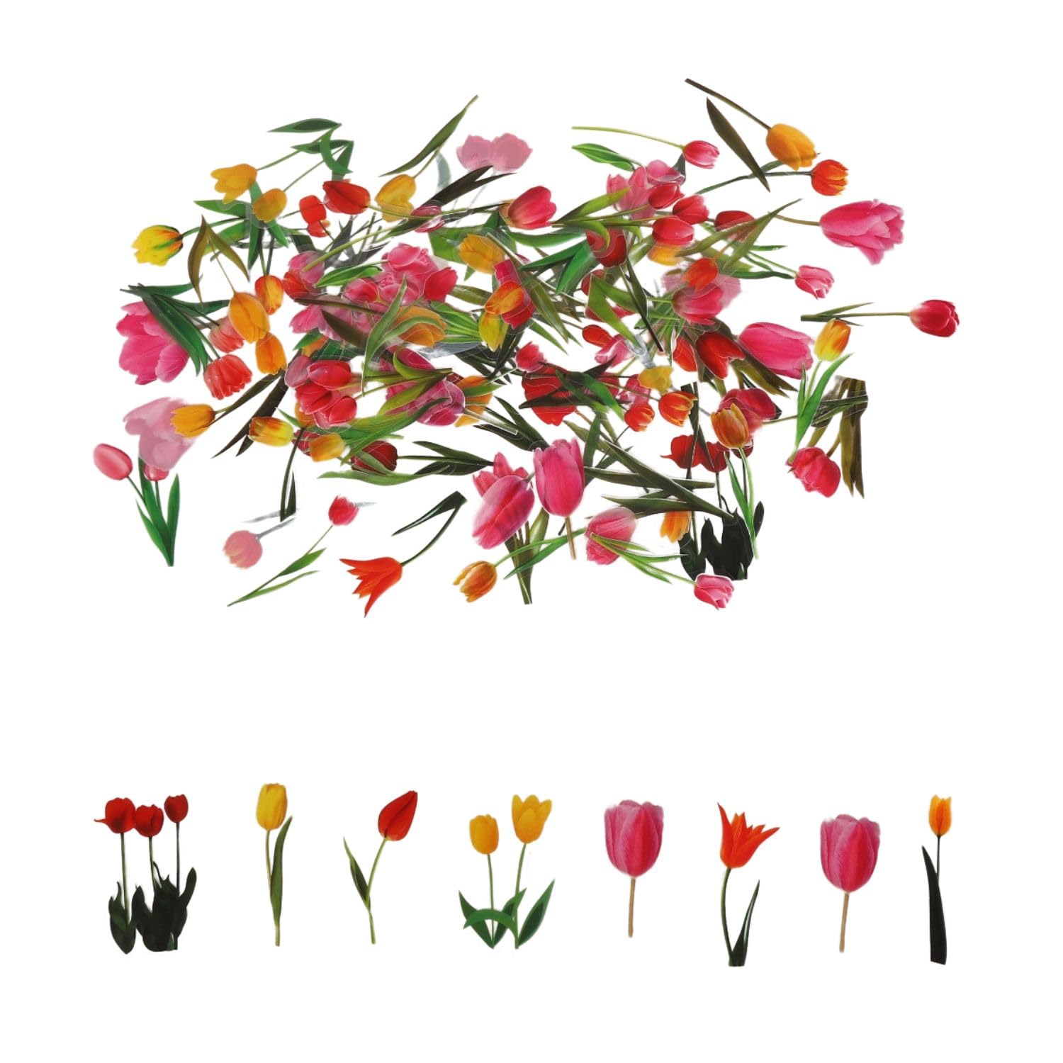 Obujopal 100Pcs Small Tulip Stickers Transparent for Scrapbooking Water Bottle Laptop Junk Journal Collage Card Making Phone Case Envelope Planner DIY Crafts, 50 Designs