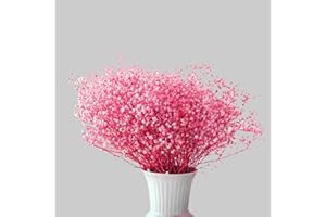 JFWOD Dried Babys Breath Flowers Bulk 2500+ Ivory White Flowers for Home Decoration Vase Arrangements Table Decor Parties and Weddings, DIY Gift Décor (Pink)