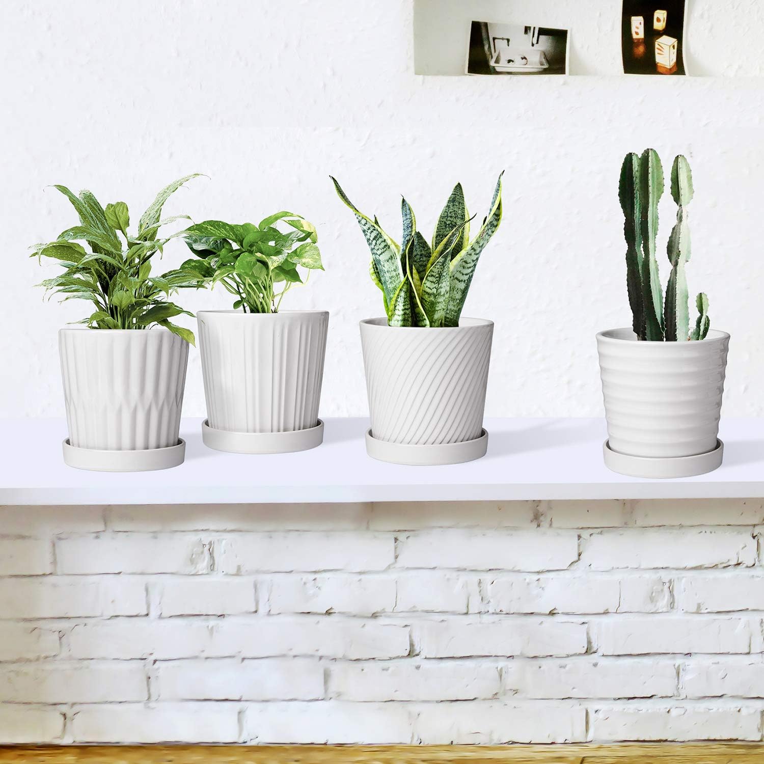 Flower Pots,6 Inch Succulent Pots with Drinage,Indoor Round Planter Pots with Saucer,White Cactus Planters with Hole,Outdoor Graden Pots 4 Pack: Garden & Outdoor