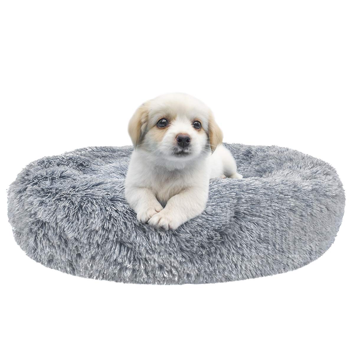 Best aspen pet sofa bed