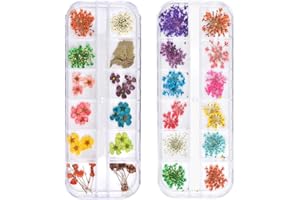 TEOYALL 24 Colors Dried Flowers for Nail Art, 2 Boxes 3D Dry Flowers Nail Stickers Colorful Natural Real Flower Nail Decals