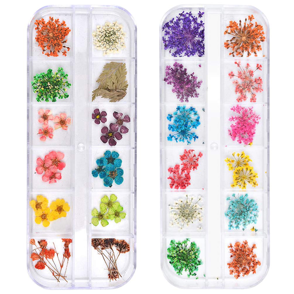 Photo 1 of TEOYALL 24 Colors Dried Flowers for Nail Art, 2 Boxes 3D Dry Flowers Nail Stickers Colorful Natural Real Flower Nail Decals