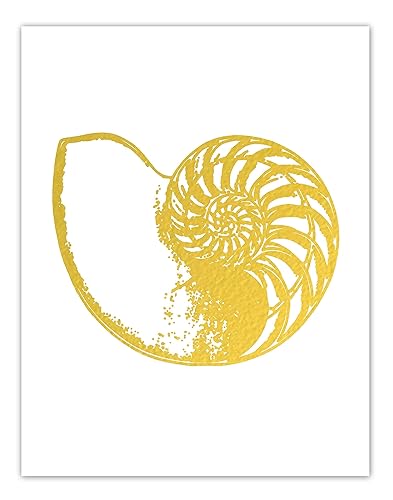 Amazon Com Nautilus Shell Art Gold Foil Art Nautical Decor Artwork Coastal Wall Art Beach Decor Seashell Handmade
