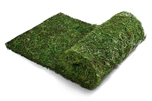 AQUEENLY Dried Moss Table Runner, Dried Moss for Crafts (12 x 71 Inches)