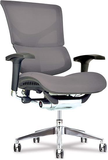Amazon Com Healthy Back X Chair Office Desk Chair X3 Grey A T R