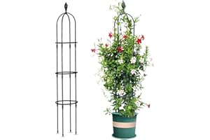 Lalahoni Garden Trellis for Climbing Plants Outdoor, Reinforced 6ft Tall Plant Support Trellis for Potted Plants Climbing Vine Rose Clematis Outdoor Garden Obelisk Trellis, Black, 1pc, Torch Decor