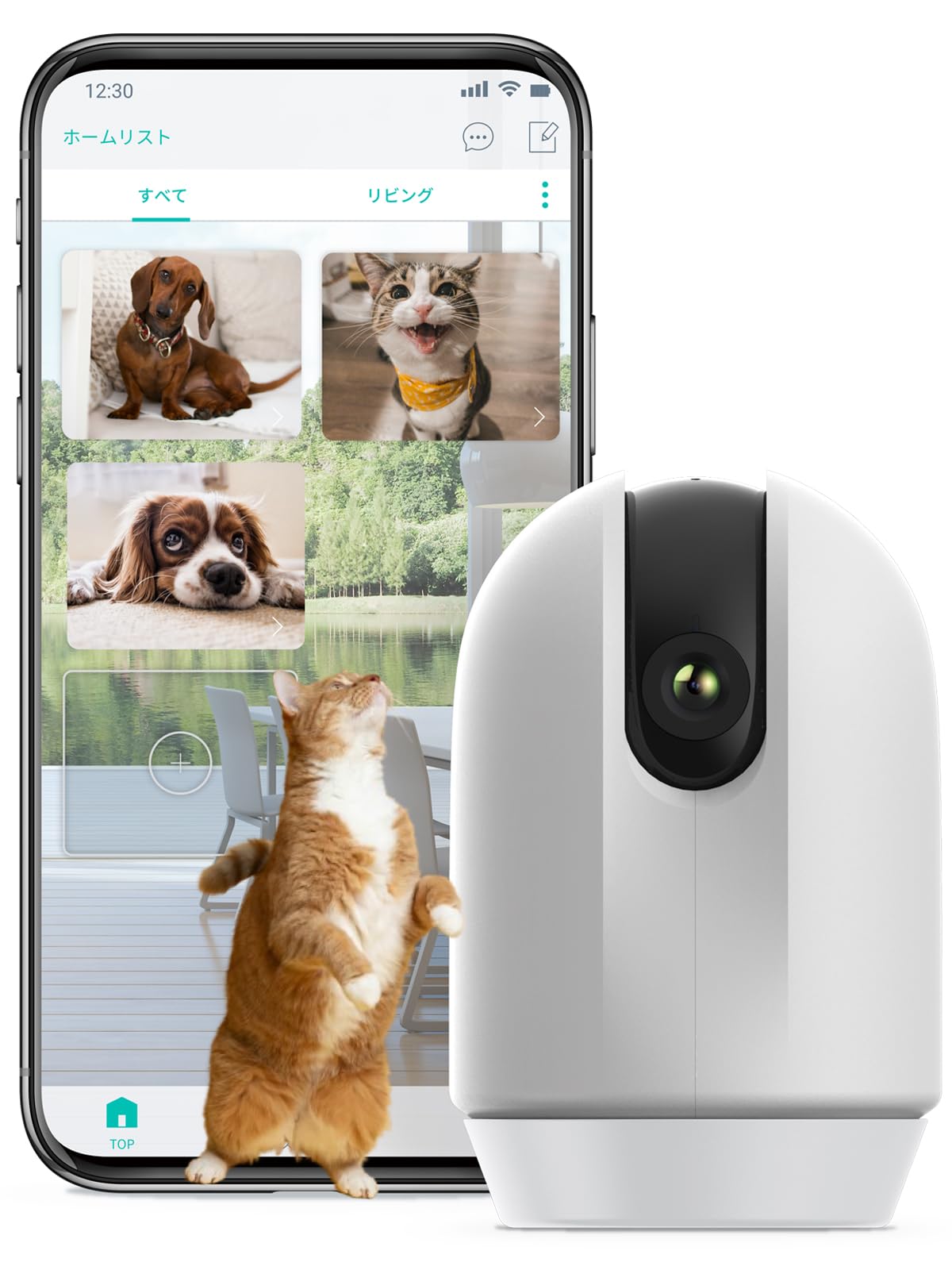 リンクジャパン eCamera2の商品画像