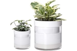 Phoenix Vine 6 Inch 4 Inch Self Watering Planter, White Terracotta Clay Pots with Glass Reservoir for Indoor Plants, Herbs, Flowers, 52-B-G-46