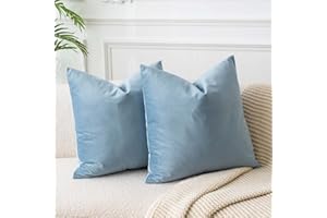 JUSPURBET Light Blue Velvet Throw Pillow Covers 18x18 inch Set of 2 for Living Room Couch Sofa Bedroom Decorative Solid Soft Cushion Cases with Invisible Zipper