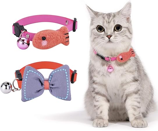 kitten collar with bell