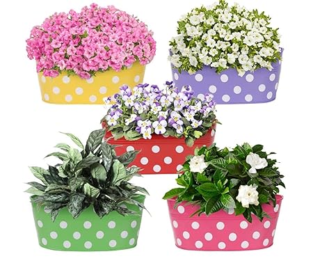 Go Hooked Metal Hanging Planter | Metal Railing Planter 12 Inch (Set of 5
