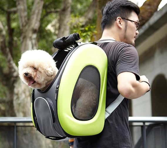 ibiyaya 4 in 1 pet carrier