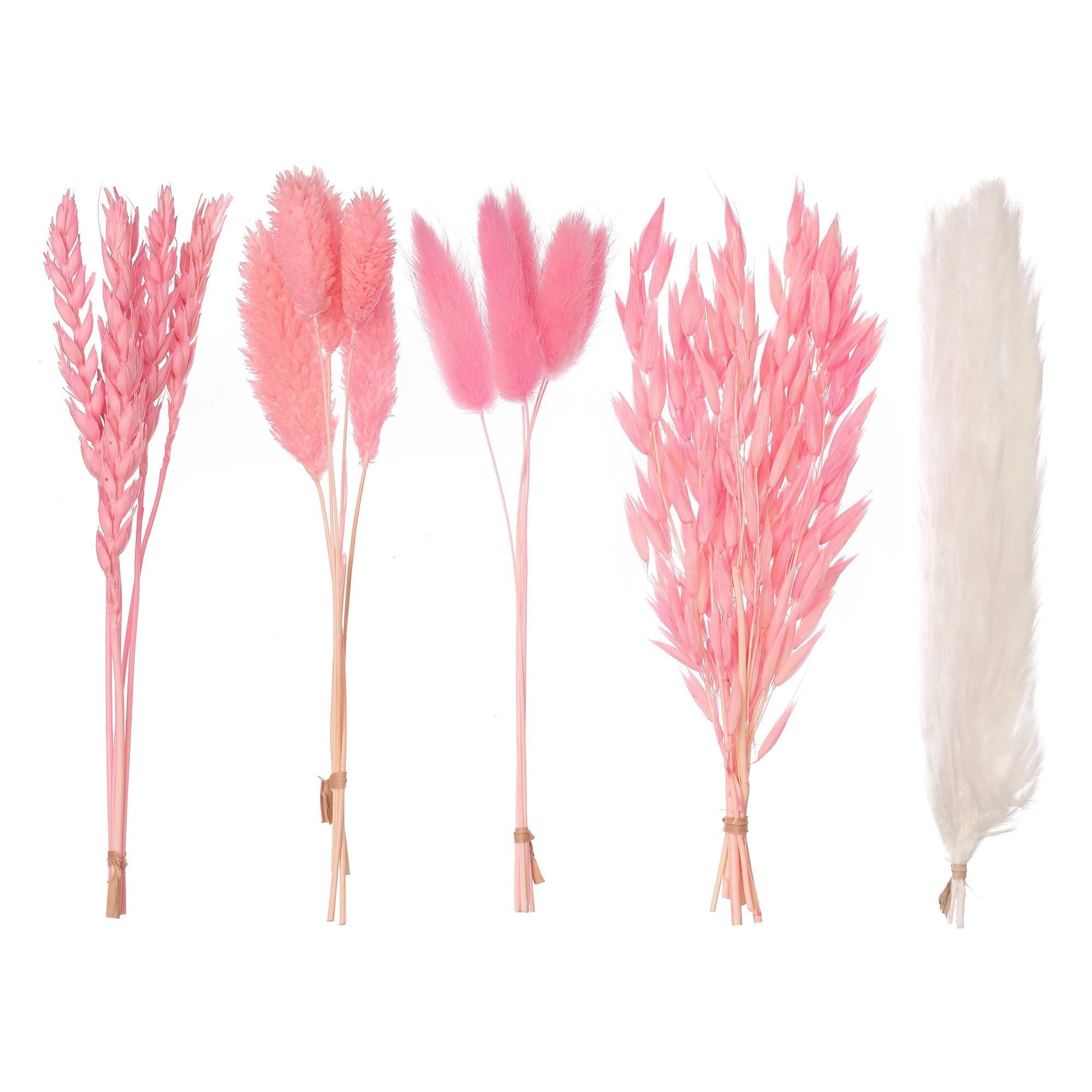 The Baked Studio - Original Dried Flower Set Containing Pampas, Oats, Wheat, Lagarus Bunny Tails & Phalaris For Cake & Cupcake Decorating & Others Crafts (Hot Pink)
