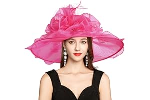 YIDINGCO 2025 Kentucky Derby Hat for Women Ladies, Organza Veil Feather Fascinator for Tea Party Church UV Protection Sun Hat