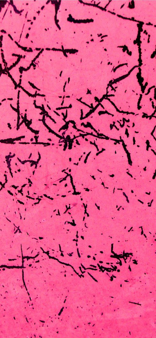 PeelitStickit Coloured Grunge Textures Pattern, Wallpaper Design, Wall Mural ID-045, vinyl