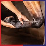 Equine America UK Veterinus Derma Gel Herbal Animal Skin Care 100ml view 4