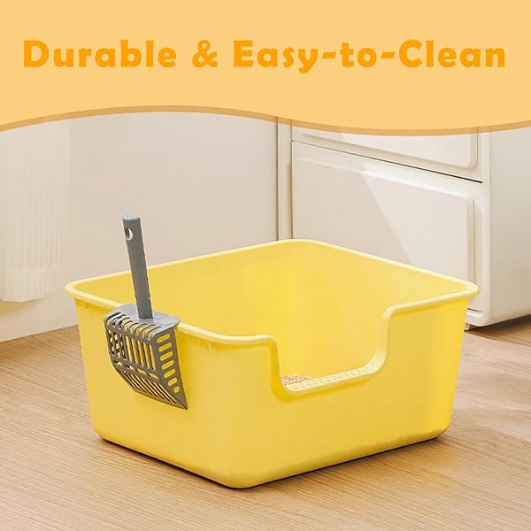 LOOPTIME LARGE CAT LITTER BOX WITH HIGH SIDES,CAT LITTER PAN WITH LOW ENTRY,CAT BOX FOR INDOOR KITTENS & SENIOR CATS,ANTI-SPLASHING,WATERPROOF,EASY TO CLEAN,DURABLE (WHITE)