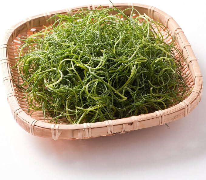 Amazon Co Jp 山形県産 Oisix おかひじき 1パック 100g 食品 飲料 お酒