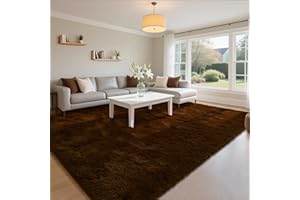 HOMORE Living Room Rug 5 x 7 Area Rug, Brown Rugs for Living Room Bedroom, Large Fluffy Rugs Super Soft Carpet for Kids Room Classroom Dorm Home