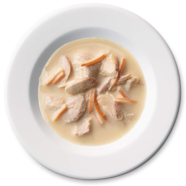 PURINA FANCY FEAST BROTHS WITH WILD SALMON & WHITEFISH, 1.4 OZ, GRAIN FREE WET CAT FOOD TOPPERS