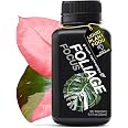 Growth Technology GT Foliage Focus - Liquid Indoor Plant Food for Houseplants, Tropical Plants, Aroids, Ferns and Palms - Con