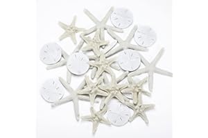 Jetec 24 Pieces Starfish Assorted 3.14 Inch Starfish for Crafts Sand Dollar Ornament White Resin Pencil Finger Starfish Wall Decor Beach Starfish Decor for Wedding Party Decor DIY Craft Supplies