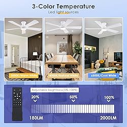 BYKISTOK 52" Flush Mount RGB Ceiling Fans with