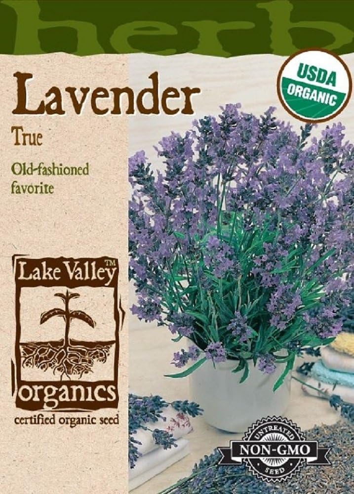 Organic True Lavender Seeds - 300 mg