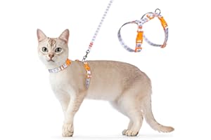 Dooradar Cat Harness and Leash, Escape Proof Adjustable Kitten Vest, Lightweight Soft Pet Straps, Easy Wearing for Small Medium Kitty Safe Walking Travel Control, White, M