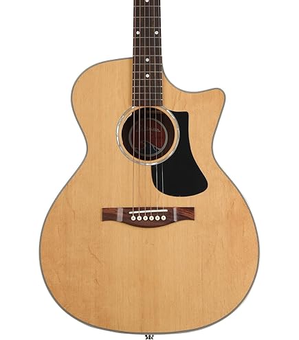 Amazon.com: Eastman AC Series Sitka/Ovangkol Grand