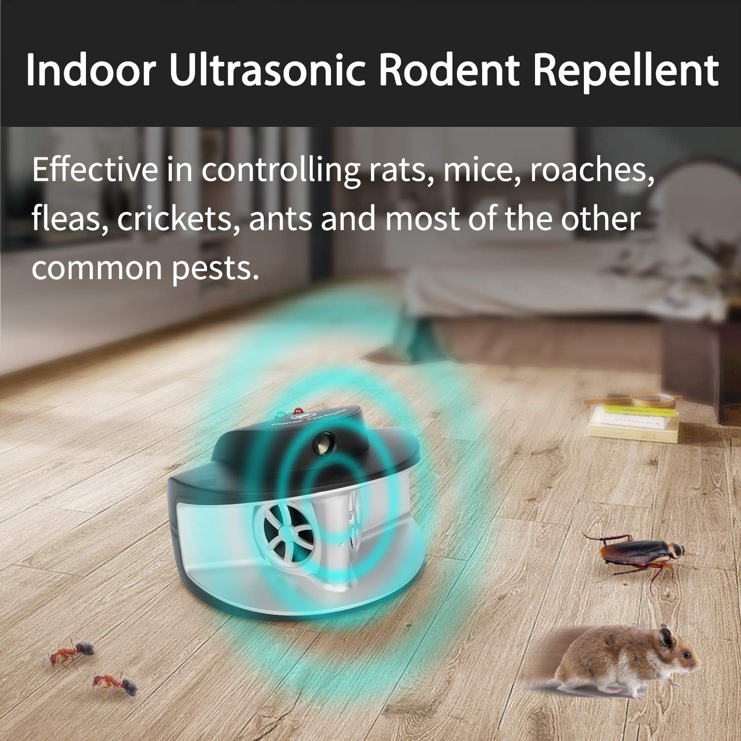 Thanos Ultrasonic Electronic Mouse Mice Rat Squirrel Rodent Pest Repeller Repellent Deterrent: Health & Personal Care