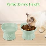MeetoZ Ceramic Elevated Cat Bowls, 2 Wide Raised Food & Water Dishes (Green) view 4